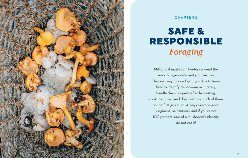How To Forage for Mushrooms (Without Dying)