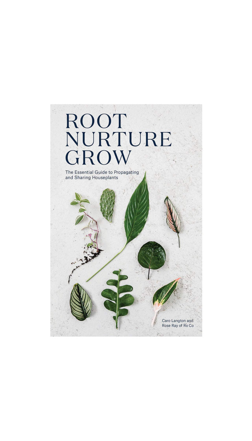 Root, Nurture, Grow / LANGTON & RAY